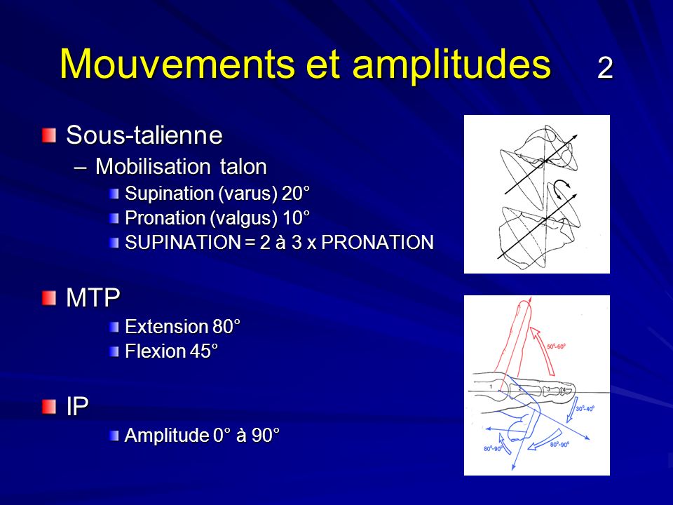 Examen clinique de la cheville et du pied ppt video online